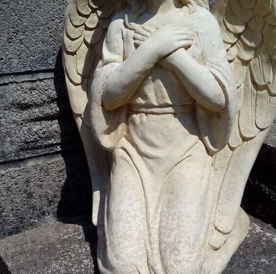 פנסיון Lavender House