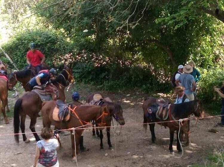 膳宿费 Villa Nives