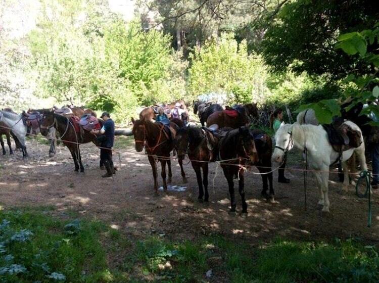 膳宿费 Villa Nives