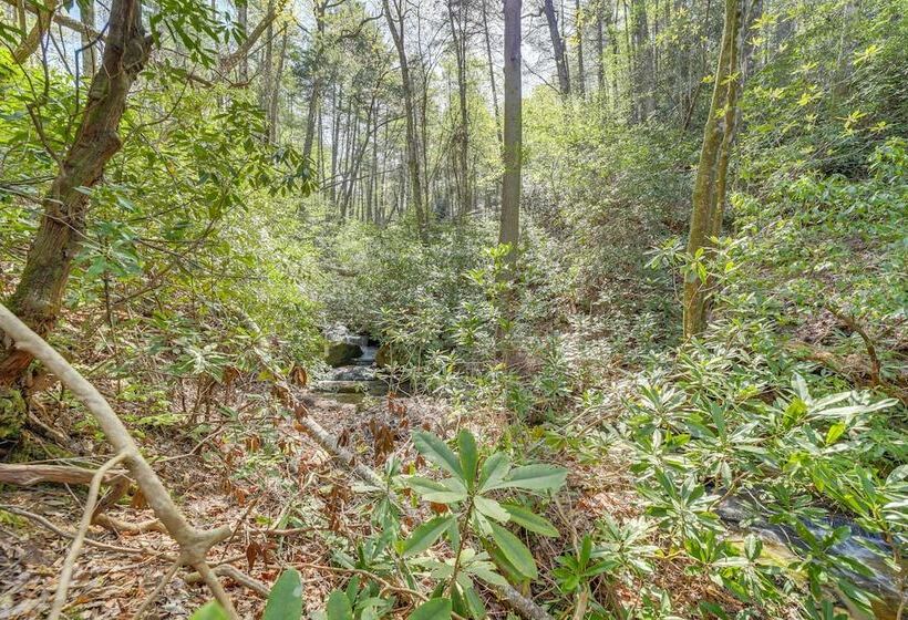 Secluded Brevard Cabin W/ Private Waterfall!