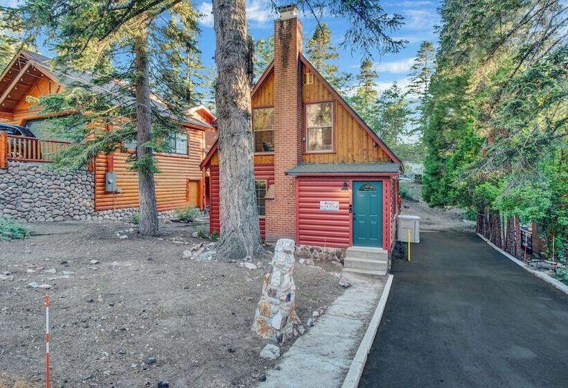 Silvertip Pines #2335