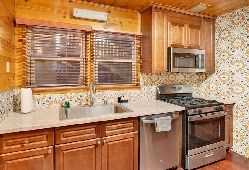 Silvertip Pines #2335