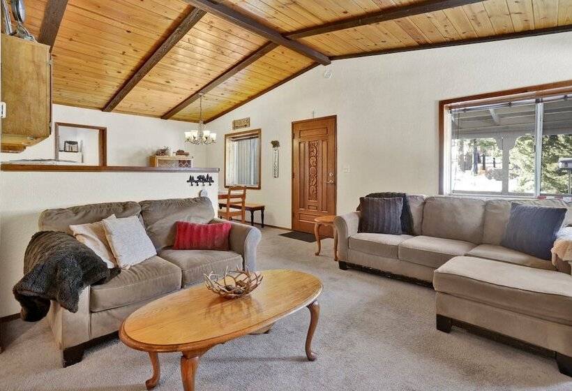 Sugar Bear Retreat #2319