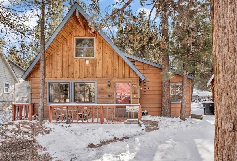 The Bear Bauhaus #2106