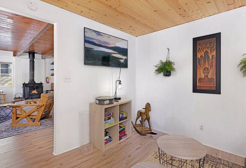 The Bear Bauhaus #2106