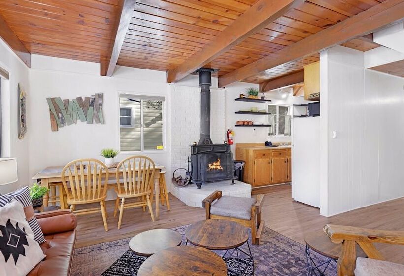 The Bear Bauhaus #2106