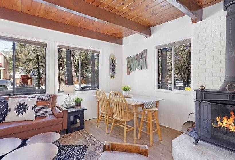 The Bear Bauhaus #2106