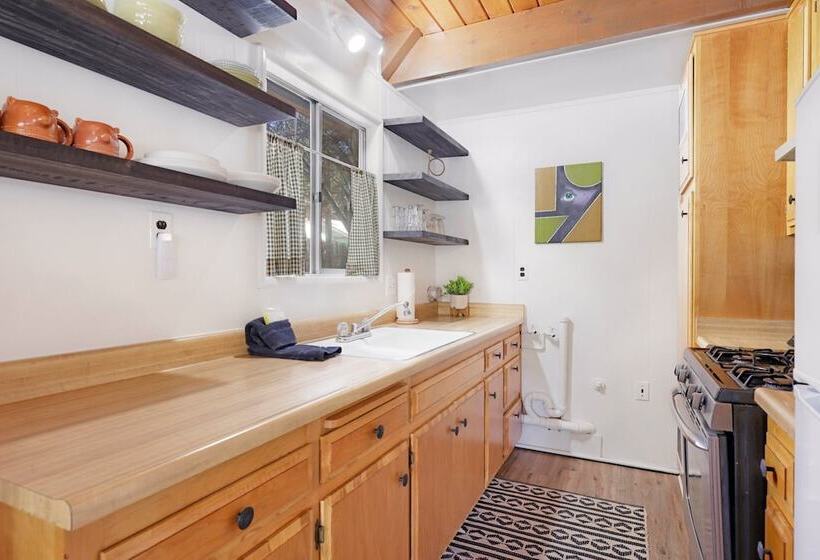 The Bear Bauhaus #2106