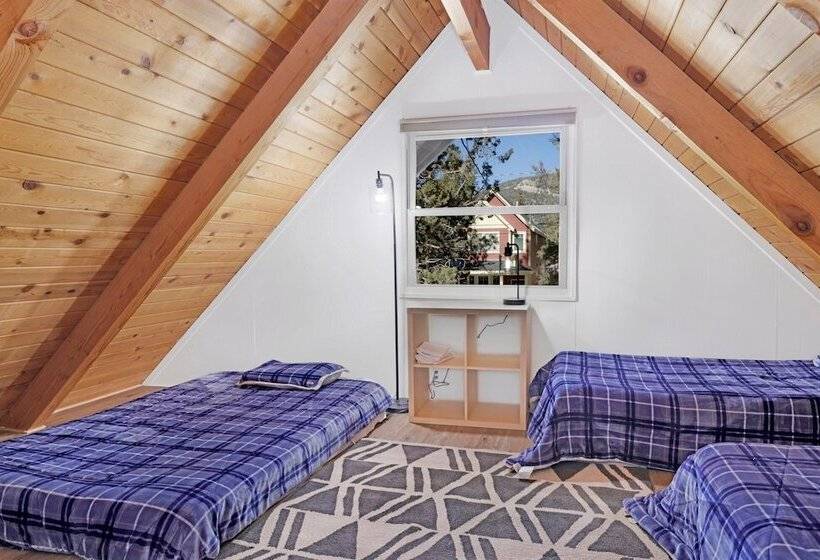 The Bear Bauhaus #2106