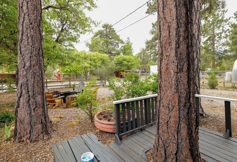 The Eagles Nest #2325