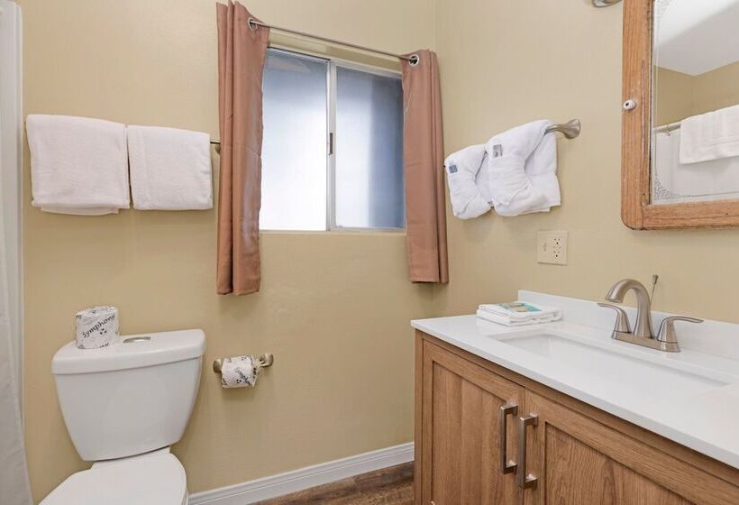 The Farmhouse Experience #1900