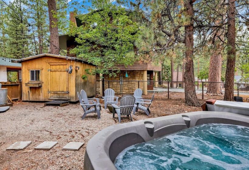 The Lost Compass #2165