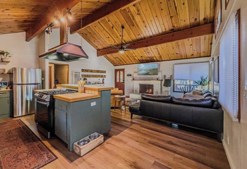 The Lost Compass #2165