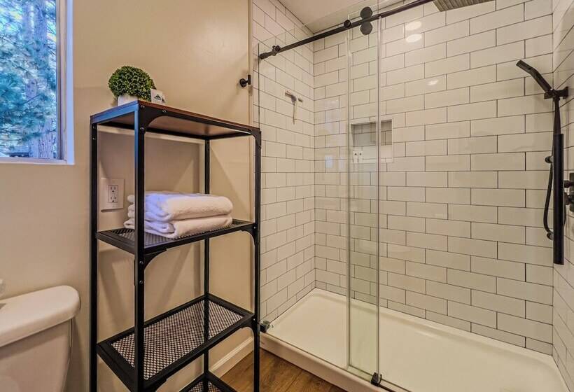 The Lost Compass #2165