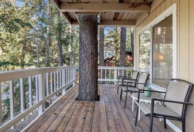 Tree Top Views #2060