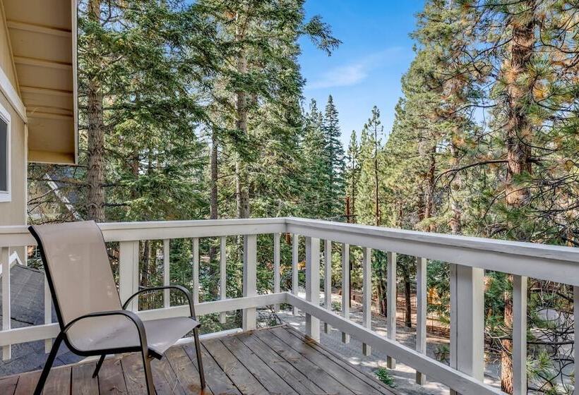 Tree Top Views #2060