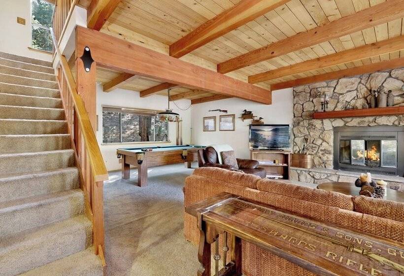 Tree Top Views #2060