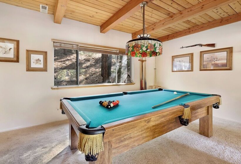 Tree Top Views #2060