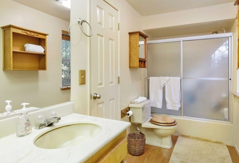 Tree Top Views #2060