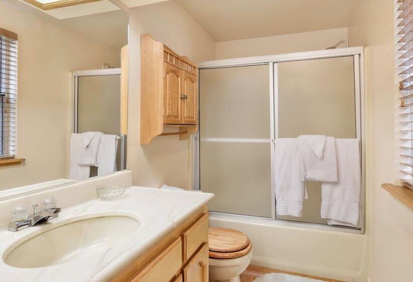 Tree Top Views #2060