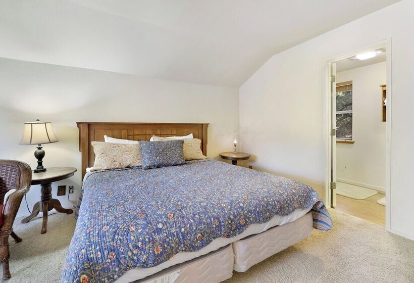 Tree Top Views #2060