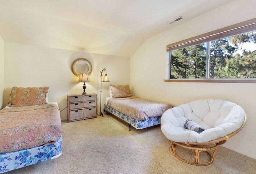 Tree Top Views #2060