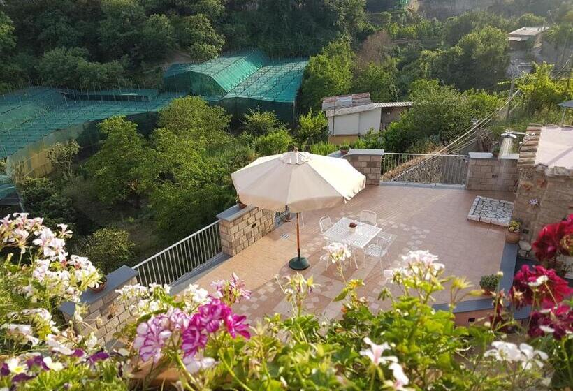 צימר Chez Chantal