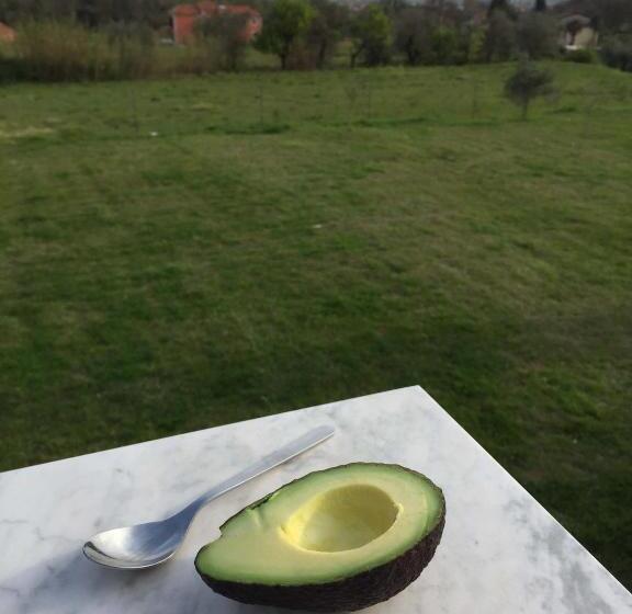 مبيت وإفطار Il Giardino Delle Esperidi