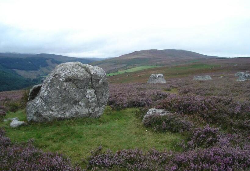 住宿加早餐  Lough Dan House