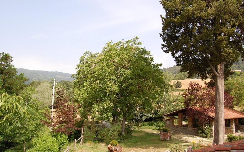 호텔 Agriturismo Il Piano