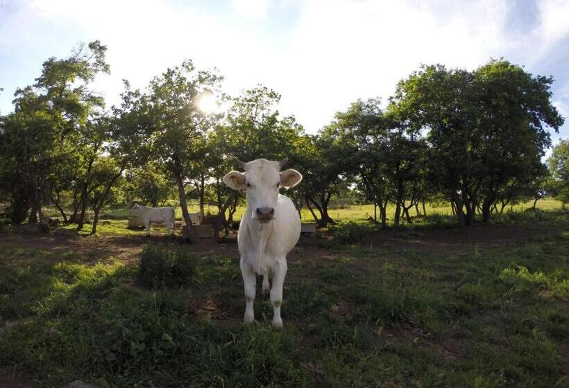 Отель Agriturismo Poggio Della Capanna