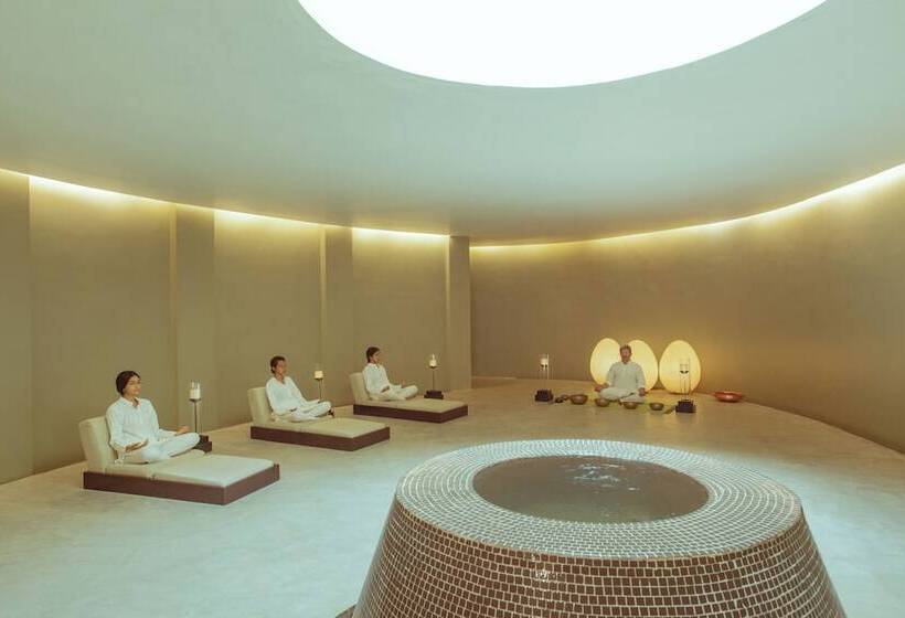 אתר נופש Dharana At Shillim A Luxury Wellness Retreat