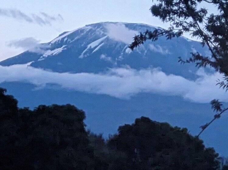 호텔 Diamond Delight Boutique