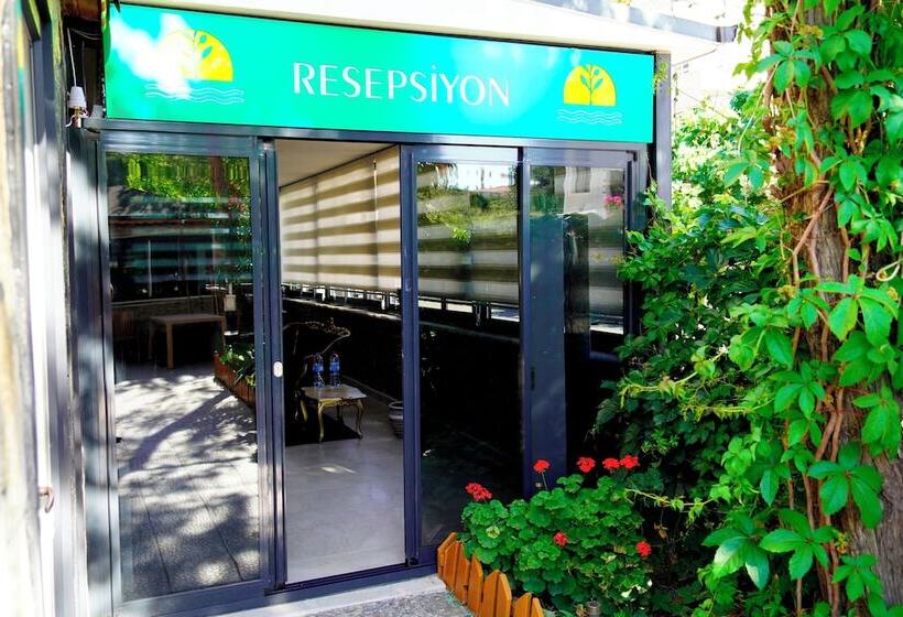 Отель Olive Branch