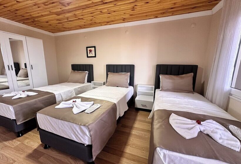 Отель Olive Branch