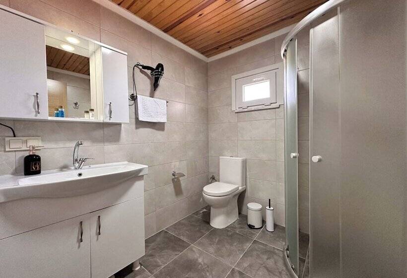 Отель Olive Branch