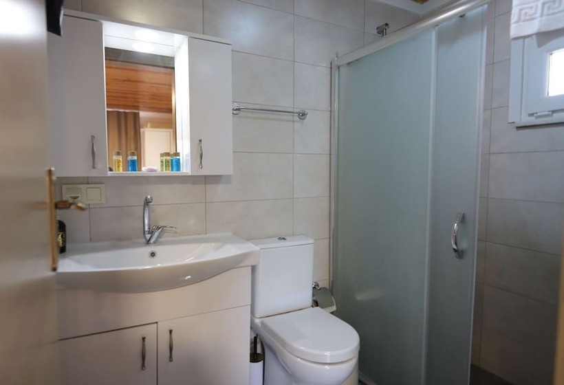 Отель Olive Branch