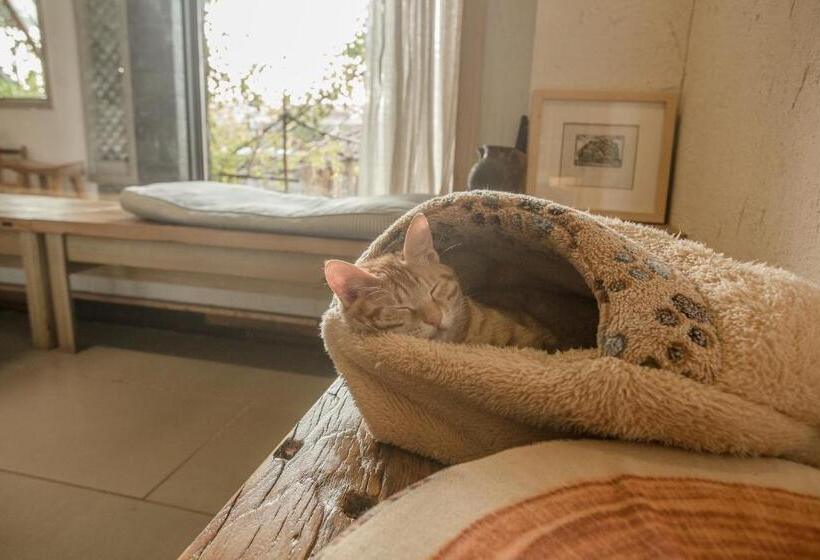 ベッドアンドブレックファースト Zen Tea House Seven Stars Park