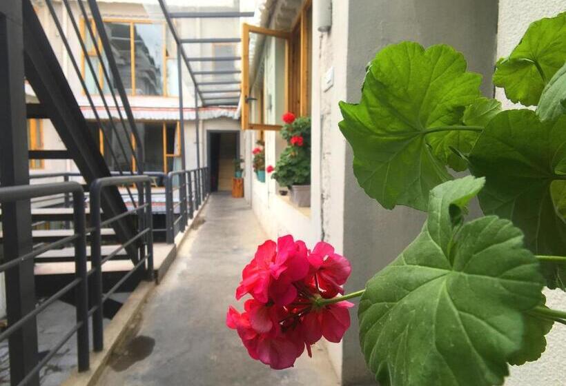 Fengma Feiyang Hostel