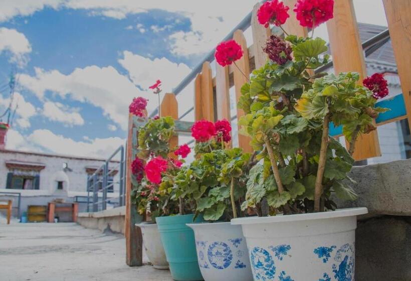 Fengma Feiyang Hostel