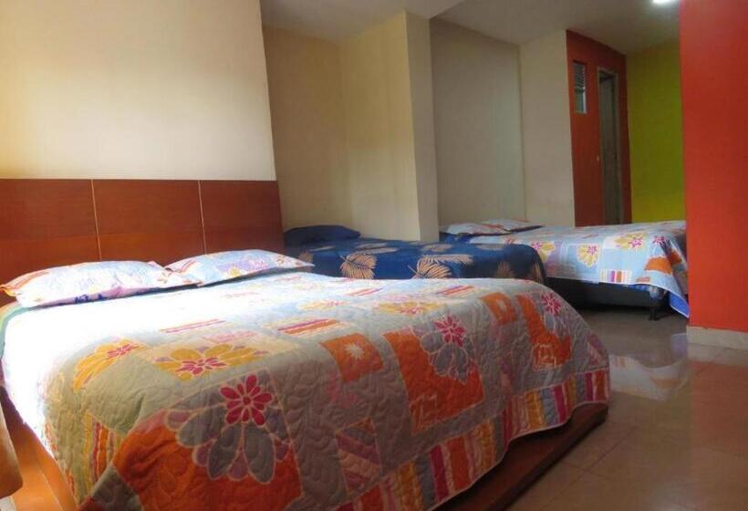 ホテル Flores La Frontera