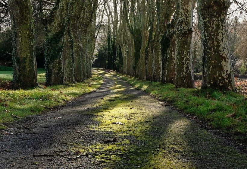 酒店 Le Domaine De Camboyer, The Originals Collection