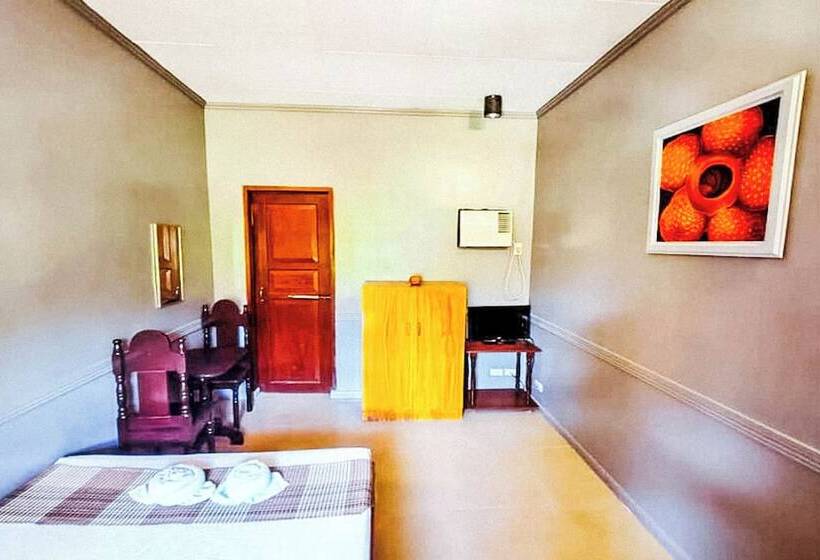 هاستل Mbg Travellers Inn Powered By Cocotel