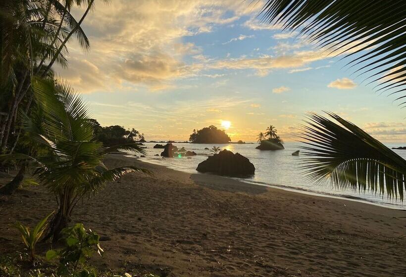 호텔 Jenené Lodge