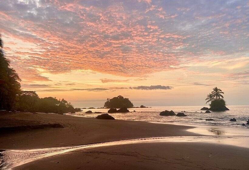 호텔 Jenené Lodge