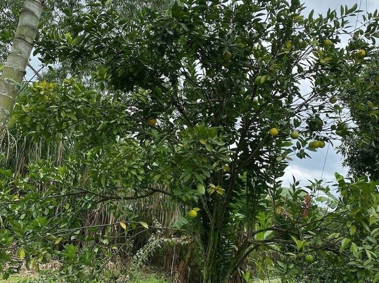 캡슐 호텔 Finca Hotel Tierra Grata