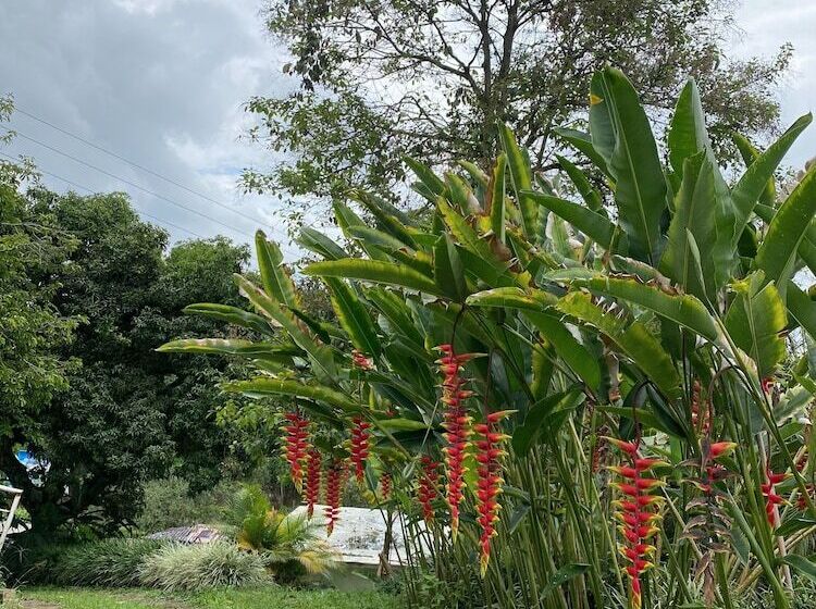 캡슐 호텔 Finca Hotel Tierra Grata