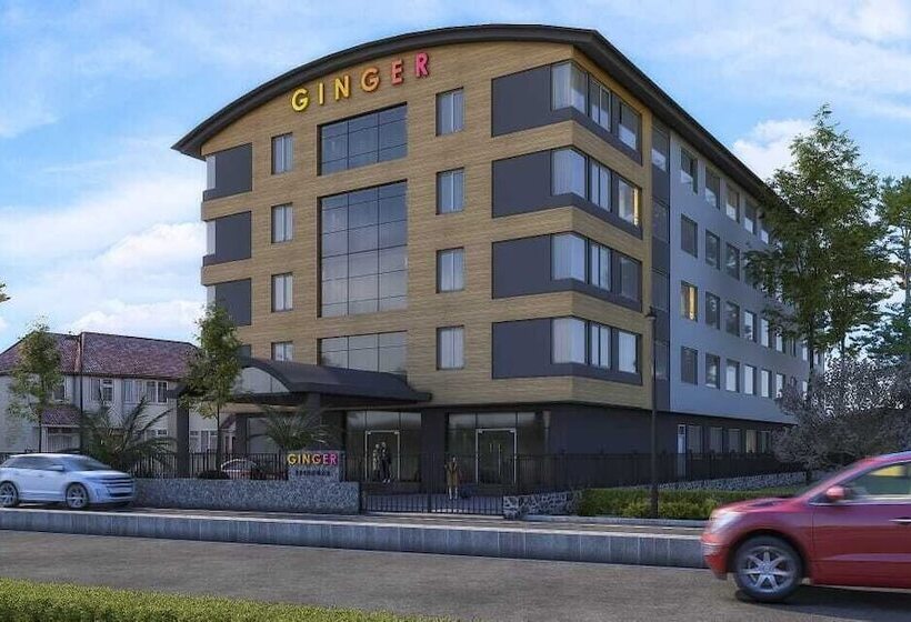 ホテル Ginger Srinagar Barzulla Near Srinagar Airport