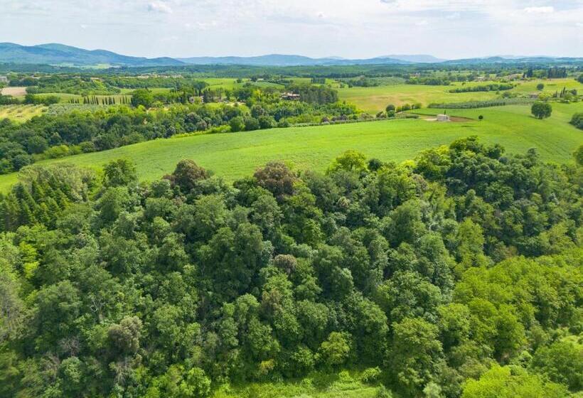 بنسيون Cozy Rooms In Colle Val D Elsa