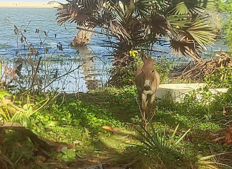 酒店 Kite House Cafe